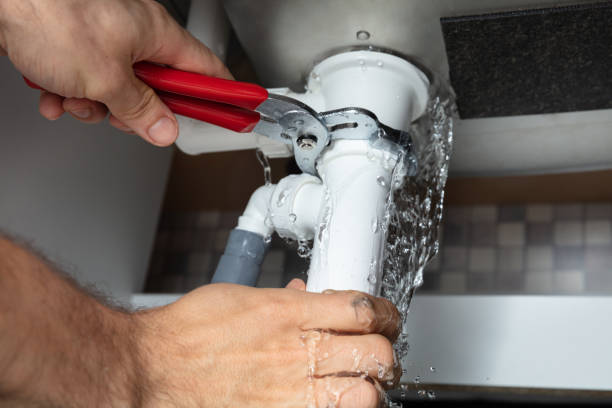 Best Ceiling water damage repair  in Ladera, CA