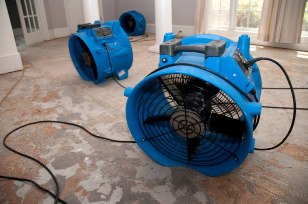 Best 24/7 water damage repair  in Ladera, CA