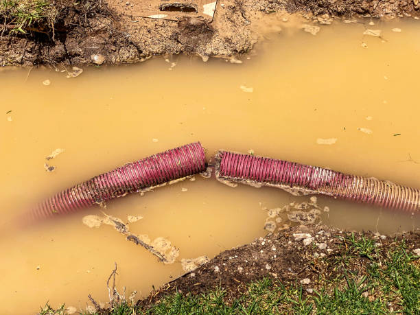 Water damage restoration mold remediation in Ladera, CA